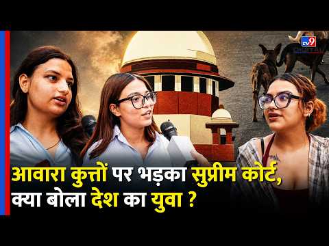 Supreme Court on Stray Dogs:आवारा कुत्तों पर भड़का SC,क्या बोले dog lovers | Street Dogs | Dogs Issue thumbnail
