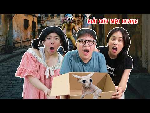 Giải Cứu Mèo Hoang Và Các Loài Động Vật Khỏi Người Ngoài Hành Tinh thumbnail