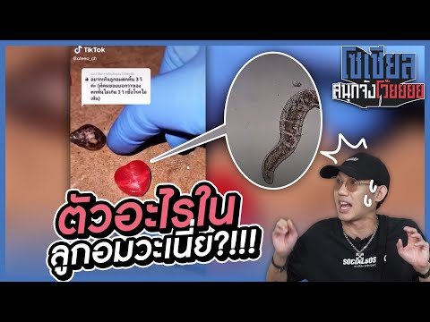 ตัวอะไรในลูกอมวะเนี่ย?!! : โซเชียลสนุกจังโว้ย l VRZO thumbnail