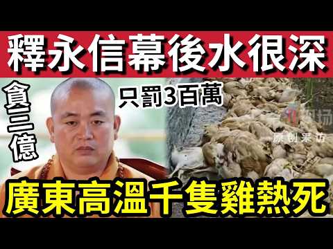 內幕曝光！釋永信「貪污3億！」只判罰「350萬」監禁24年！背後涉及「龐大利益集團！」廣東極端高溫「熱死千隻雞！」31/5內地猛料「看中國新聞快訊」 thumbnail