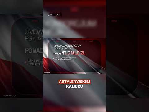 NA CO IDĄ PIENIĄDZE Z SAFE? thumbnail
