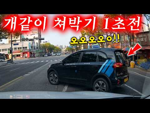 이런 사고가 사람을 미치게 하는 진짜 이유 2026 최신블랙박스모음집 I 그것이 블랙박스 thumbnail