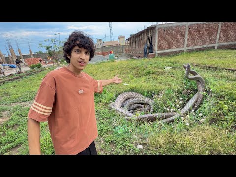 2 Snakes Aagye 😲 Kya Hogya Ye  thumbnail