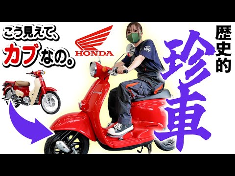 スクーターの皮を被ったスーパーカブ！HONDAジョルカブは原付史上最高の珍車！ thumbnail