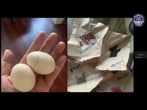 TE CPD Episode 106 (Peace Education Training Part 6) thumbnail