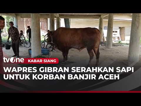 Sapi Milik Wapres Gibran Diserahkan ke Korban Banjir di Aceh | Kabar Siang thumbnail