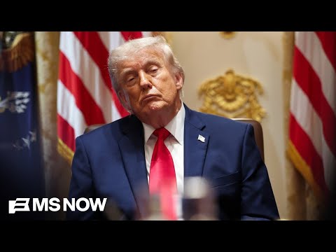 ‘Congress has to do its job’: Dem rep. calls Trump’s corruption ‘the root of all other challenges’ thumbnail