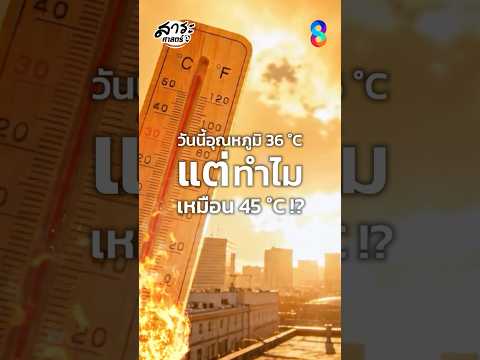 ทำไม Heat Index ถึงทำให้เรารู้สึกร้อนแทบเป็นลม?! | #สาระศาสตร์ thumbnail