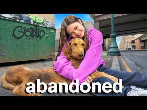 MY NEW DOG ❤️ thumbnail