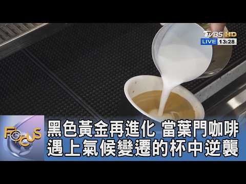 黑色黃金再進化 當葉門咖啡遇上氣候變遷的杯中逆襲｜FOCUS午間新聞 20260528 @TVBSNEWS01 thumbnail