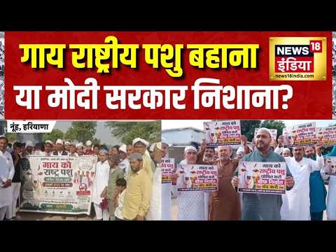 Cow National Animal News: गाय राष्ट्रीय पशु बहाना या मोदी सरकार निशाना? Bakrid Controversy | PM Modi thumbnail