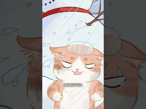 Câu chuyện về bé mèo hoang Tiểu Mi! thumbnail