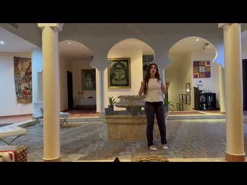 Wired for Words: The Science Behind the Multilingual Mind | Sarah Ali | TEDxASK Youth thumbnail