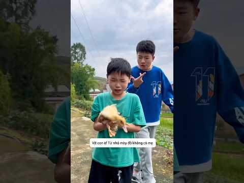 Em trai bắt con vịt của tôi để mang về nhà nuôi thumbnail
