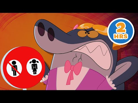 NO BOYS ALLOWED ❌ Zig & Sharko Compilation in HD thumbnail