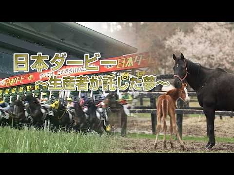 日本ダービー ～生産者が託した夢～ | ダノンキングリーとメイショウテンゲン | JRA公式 thumbnail