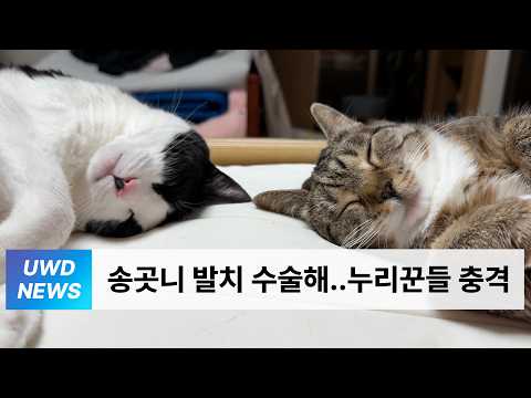 [언더월간뉴스] 칠봉지 26년 3월 이슈 총집합 thumbnail