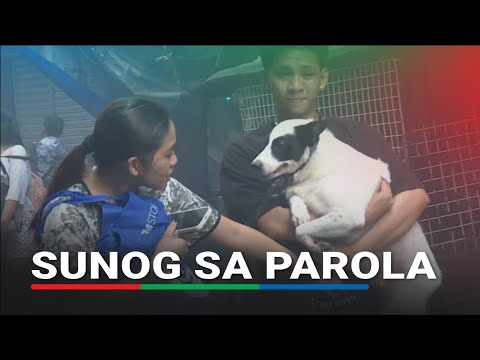 Daan-daan apektado ng sunog sa Parola Compound sa Maynila | ABS-CBN News thumbnail