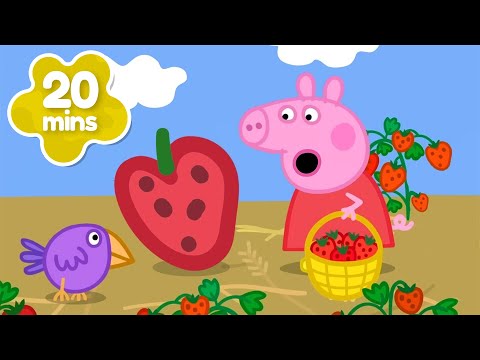 Peppa Finds a GIANT STRAWBERRY 🍓 Pick Your Own Fruit! 🍇 Peppa Pig Full Summer Episodes | 20 Minutes thumbnail