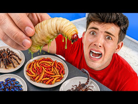 ¿QUÉ BICHO SABRÁ MÁS DELICIOSO? thumbnail