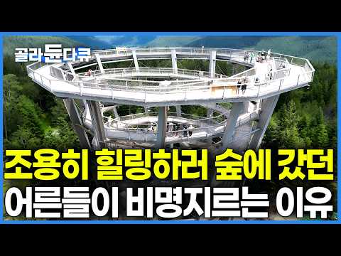 평화롭게 산책하러 왔다가 40m 허공에서 영혼 탈탈 털려 내려가는 곳. 나무 전망대에서 비료푸대 깔고 냅다 꽂히는 독일인들의 아찔한 미끄럼틀｜세계테마기행 ｜#골라듄다큐 thumbnail