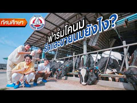 ทัศนศึกษาฟาร์มโคนมตราหมี🐄[TH/ENG SUB] thumbnail