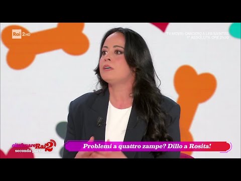 Marika Gravili, tutti i consigli su come gestire i nostri amici a 4 zampe - Citofonare Rai2 30/05/26 thumbnail