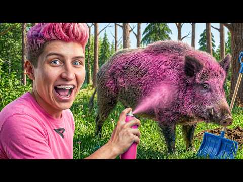 KOŁO FORTUNY DECYDUJE JAKIMI INFLUENCERAMI JESTEŚMY! thumbnail
