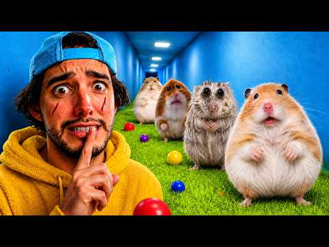 GUBI WUBIS EN LA VIDA REAL thumbnail