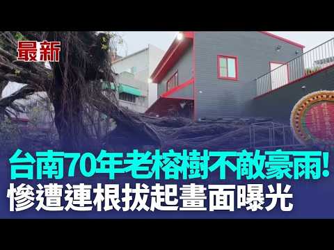 台南首邑縣城隍廟聖誕 廟前老榕樹疑不敵豪雨倒塌｜三立新聞LIVE thumbnail
