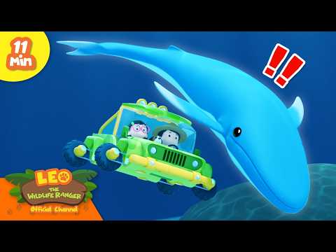 Leo Discovers a Huge Whale in the Deep Blue Sea! | Leo the Wildlife Ranger | Educational Cartoons thumbnail