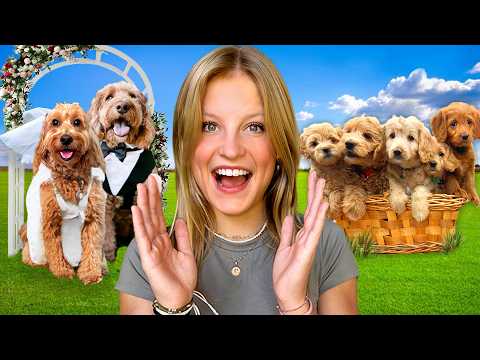 Our Dog got Married and had PUPPIES! THE MOVIE *Emotional* thumbnail