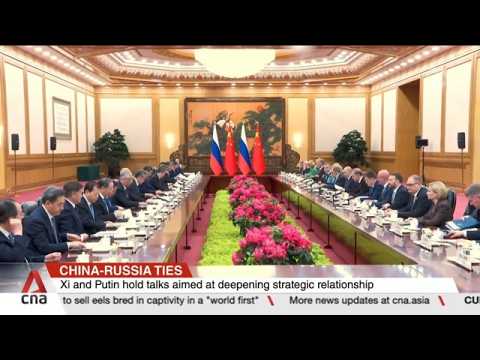 China and Russia sign dozens of agreements as Xi, Putin hail 'unprecedented' ties thumbnail