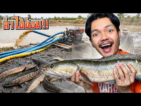 ประธานสูบบ่อล่าไอ้ช่อนใหญ่ไซส์โล!! (สูบบ่อจับปลาภาค2) thumbnail