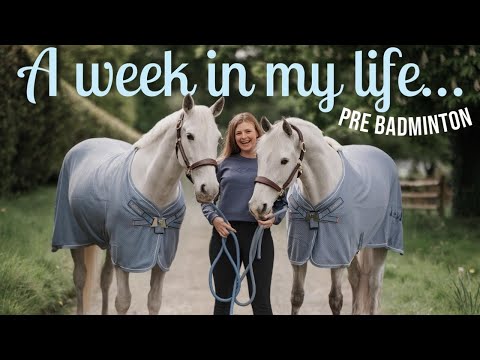 The Last Week Before BADMINTON! thumbnail