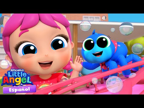 ⭐NUEVO⭐ La arañita Itsy Bitsy con Sofí 🕷️ Canciones Infantiles 🎵 Little Angel Español thumbnail