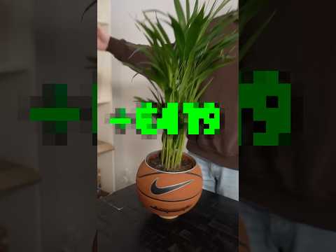 Ik Verdiende €__ Met Mijn Webshop (short) thumbnail