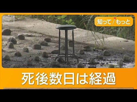 川で発見された遺体は指名手配の男と断定　座っていた橋の下から10キロ先　母娘殺害【知ってもっと】【グッド！モーニング】(2026年6月4日) thumbnail