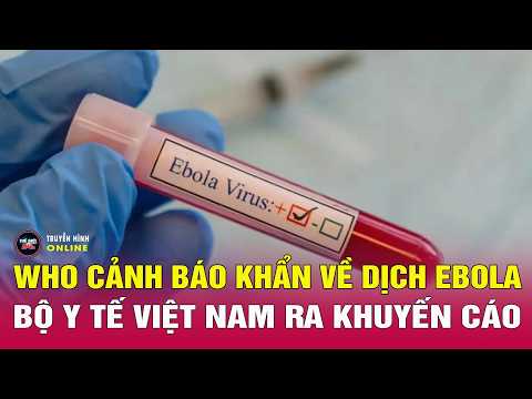 Dịch Ebola diễn biến mới nhất: Bộ Y tế Việt Nam ra khuyến cáo sau khi WHO cảnh báo khẩn.Thế giới 24h thumbnail