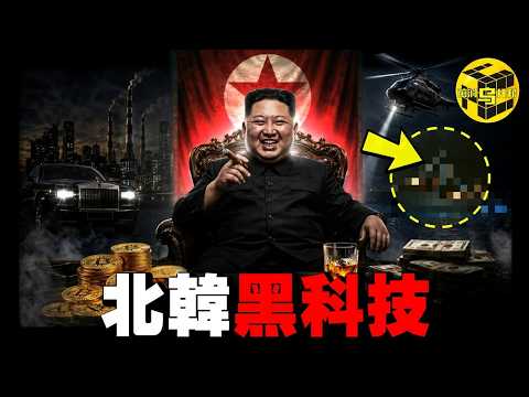 驚天爆料！這可能是21世紀最可怕的發明了：金正恩的實際財富已經超過了馬斯克？制裁之下，北韓掠奪財富的秘密武器 [She's Xiaowu 小烏] thumbnail