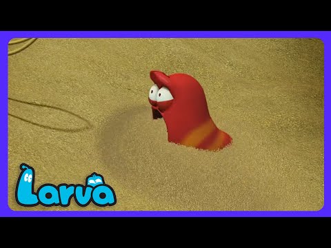 Larva - ¡Cuidado con el monstruo! | Dibujos Infantiles | WildBrain Niños thumbnail