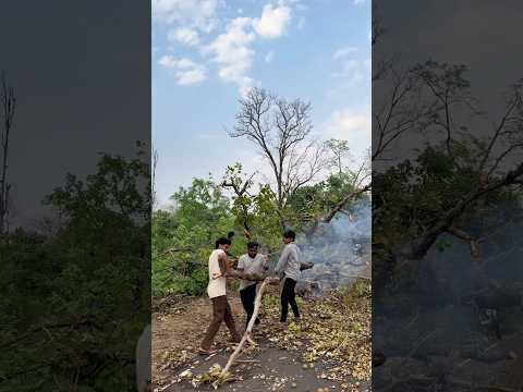 Raste par ped gir gya tha #socialwork #rodsaaf #gaon #friends #malik thumbnail