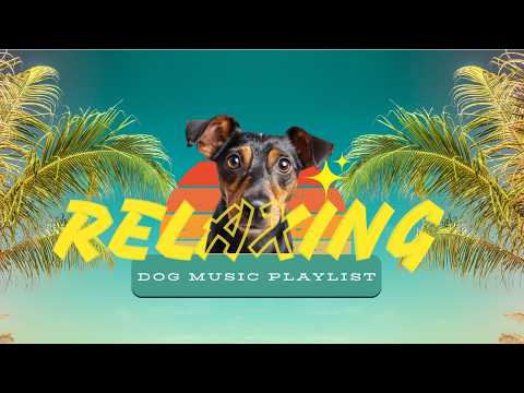 Relaxing Dog Music for Peaceful Afternoon Naps 🐾 🎶 thumbnail