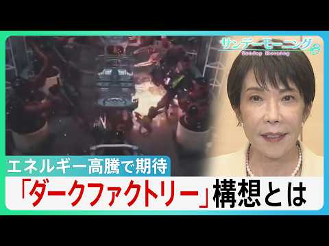 冷暖房･照明が不要に！エネルギー高騰で期待の「ダークファクトリー」構想とは　長引く中東情勢で高市総理「省エネ」呼びかけの中... 最新AIロボットが切り札に？【サンデーモーニング】 thumbnail