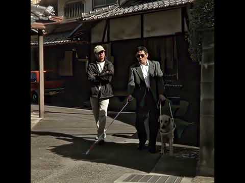 would you be willing to have a guide dog like this #highpotential #detectivemystery #detective thumbnail
