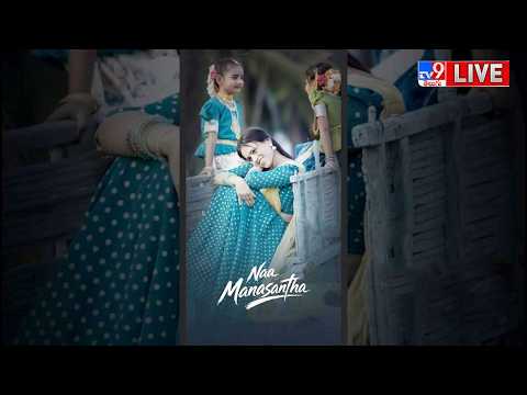 LIVE : SLC Thunders Grand Song Launch Event -TV9 thumbnail