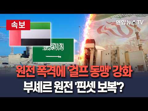 [?속보] 바라카 원전 폭격에 '걸프 동맹' 강화…이란 부셰르 원전 '핀셋 보복' 가능성 / 연합뉴스TV(YonhapnewsTV) thumbnail