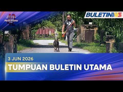 TUMPUAN BULETIN UTAMA | Tessy Anjing Pengesan Luar Biasa thumbnail