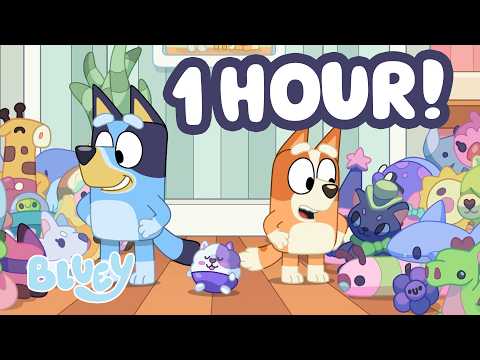Favourite Toys 🧸 | Bluey's New Bedroom + 60 MINUTES of More Moments ☺️ 💙 | Bluey thumbnail