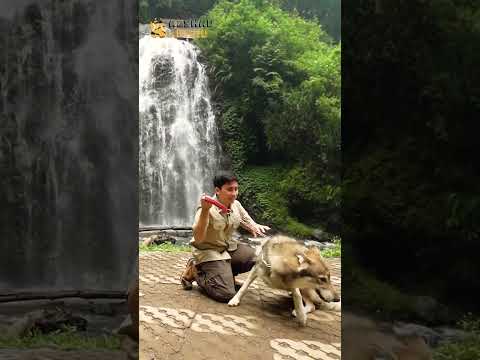 GAWAT! CHESTER & RUBY HAMPIR TERBAWA ARUS SAAT BERENANG DI SUNGAI?! thumbnail